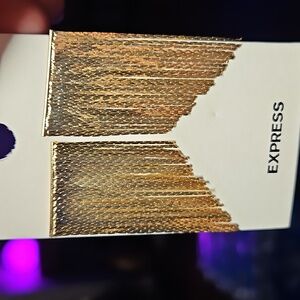 Express Shimmering Gold Tassel Earrings